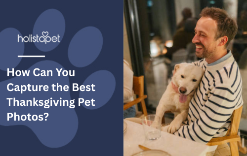 How Can You Capture the Best Thanksgiving Pet Photos?