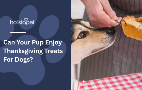 Can Your Pup Enjoy Thanksgiving Treats For Dogs?