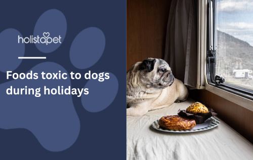 Foods toxic to dogs during holidays