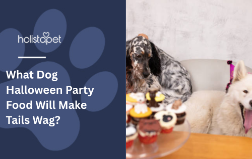 What Dog Halloween Party Food Will Make Tails Wag?