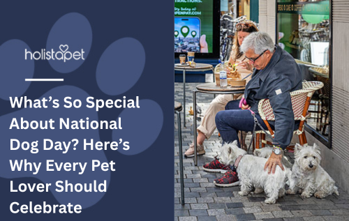 What’s So Special About National Dog Day? Here’s Why Every Pet Lover Should Celebrate