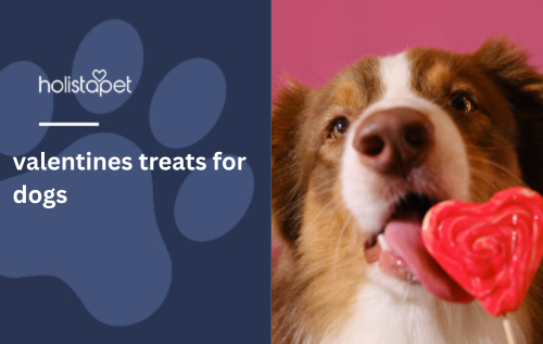 valentines treats for dogs
