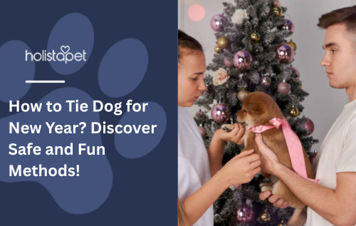 How to Tie Dog for New Year? Discover Safe and Fun Methods!