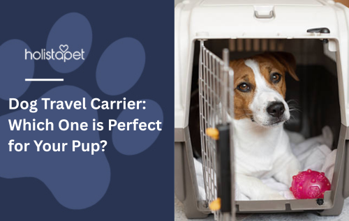 Dog Travel Carrier: Which One is Perfect for Your Pup?