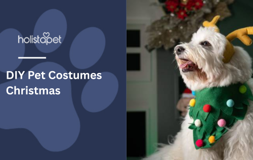 DIY Pet Costumes Christmas