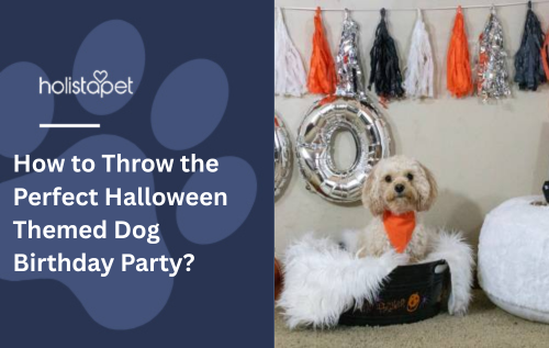 How to Throw the Perfect Halloween Themed Dog Birthday Party?