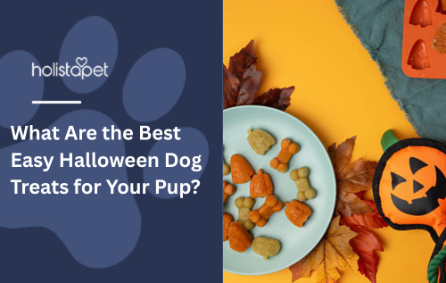 What Are the Best Easy Halloween Dog Treats for Your Pup?
