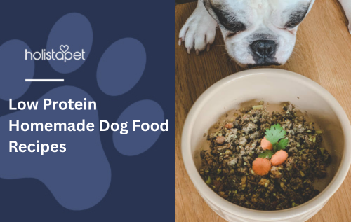 Low Protein Homemade Dog Food Recipes