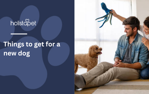 Things to get for a new dog