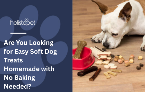 Are You Looking for Easy Soft Dog Treats Homemade with No Baking Needed?