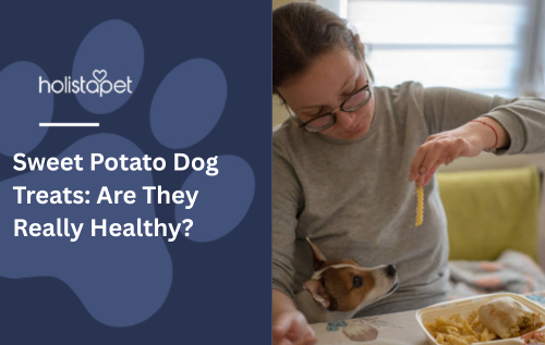 Sweet Potato Dog Treats: Are They Really Healthy?