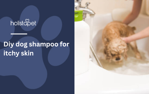 Diy dog shampoo for itchy skin
