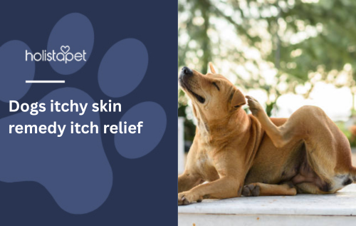 Dogs itchy skin remedy itch relief
