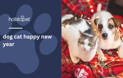 dog cat happy new year