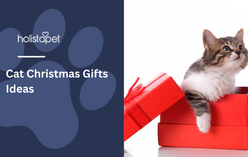 Cat Christmas Gifts Ideas