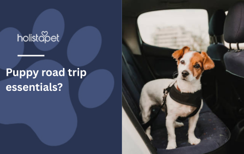 Puppy road trip essentials?