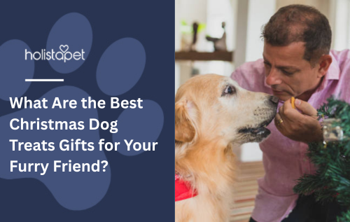 What Are the Best Christmas Dog Treats Gifts for Your Furry Friend?