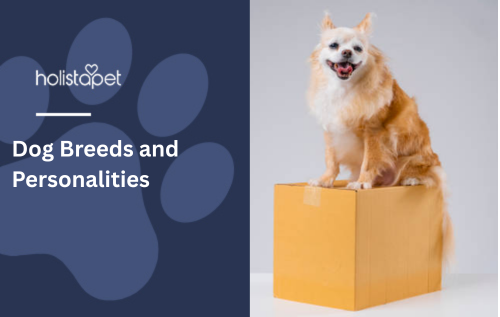 Dog Breeds and Personalities