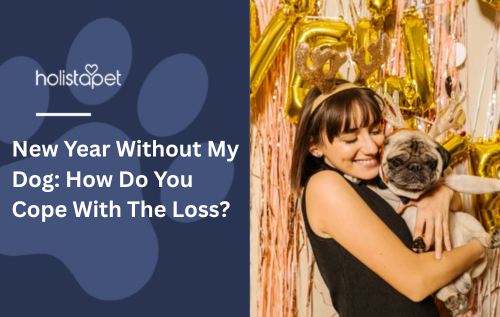 New Year Without My Dog: How Do You Cope With The Loss?