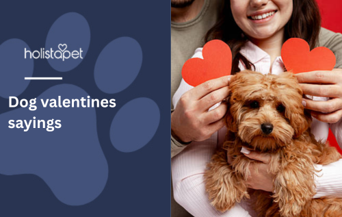 Dog valentines sayings