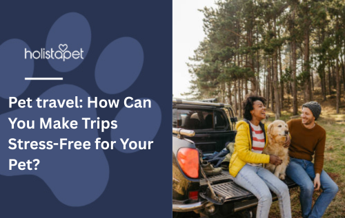 Pet travel: How Can You Make Trips Stress-Free for Your Pet?