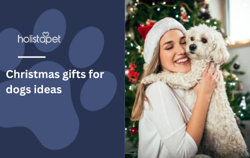 Christmas gifts for dogs ideas