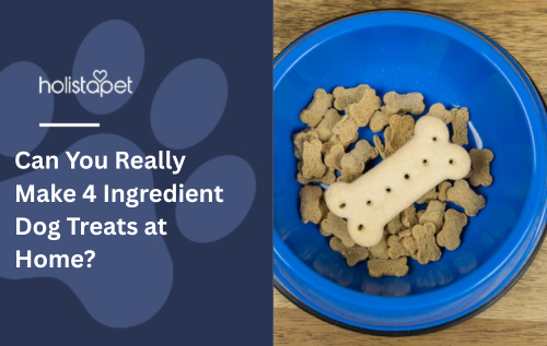 Can You Really Make 4 Ingredient Dog Treats at Home?