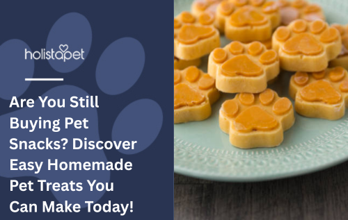 Are You Still Buying Pet Snacks? Discover Easy Homemade Pet Treats You Can Make Today!