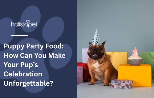 Puppy Party Food: How Can You Make Your Pup’s Celebration Unforgettable?