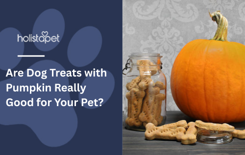 Are Dog Treats with Pumpkin Really Good for Your Pet?