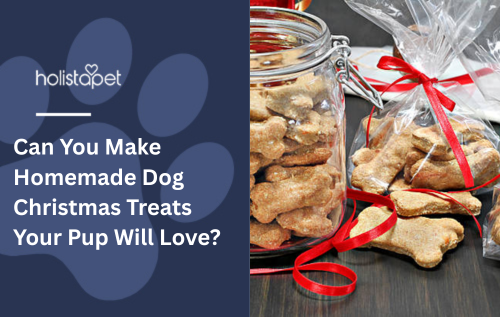 Can You Make Homemade Dog Christmas Treats Your Pup Will Love?
