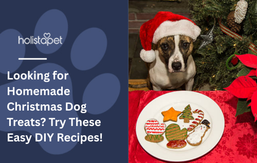 Looking for Homemade Christmas Dog Treats? Try These Easy DIY Recipes!