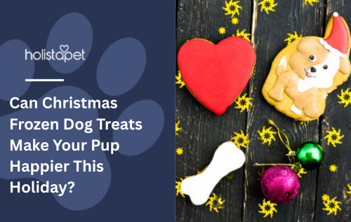 Can Christmas Frozen Dog Treats Make Your Pup Happier This Holiday?