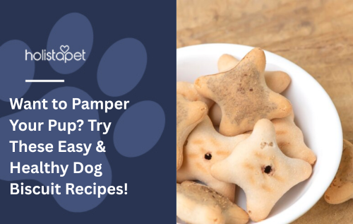Want to Pamper Your Pup? Try These Easy &amp; Healthy Dog Biscuit Recipes!