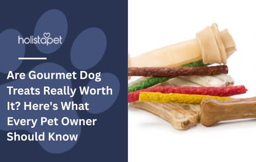 Are Gourmet Dog Treats Really Worth It? Here's What Every Pet Owner Should Know