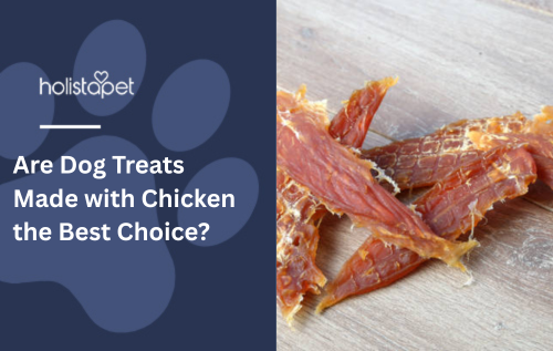 Are Dog Treats Made with Chicken the Best Choice?