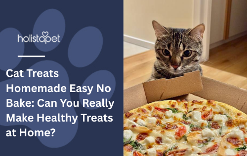 Cat Treats Homemade Easy No Bake: Can You Really Make Healthy Treats at Home?