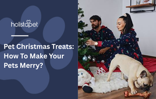 Pet Christmas Treats: How To Make Your Pets Merry?