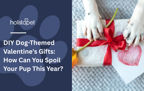 DIY Dog-Themed Valentine's Gifts: How Can You Spoil Your Pup This Year?