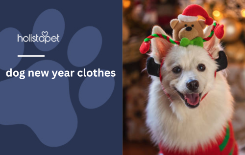 dog new year clothes