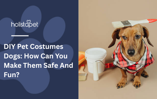 DIY Pet Costumes Dogs: How Can You Make Them Safe And Fun?