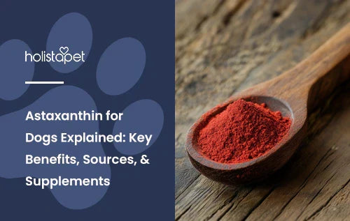 A red powder sitting in a wooden spoon.