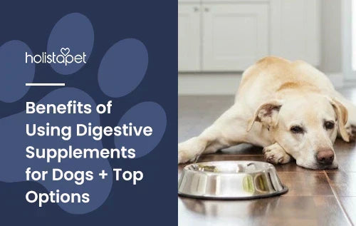 A dog lying down on a wooden floor with an empty dog bowl in front of it.