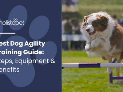 Best Dog Agility Training Guide: Steps, Equipment & Benefits