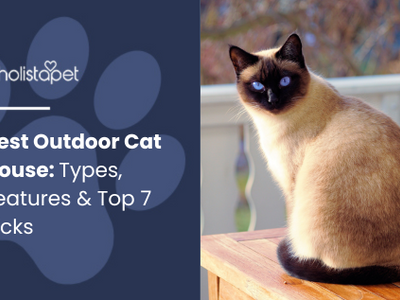 Best Outdoor Cat House: Types, Features & Top 7 Picks
