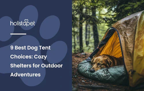 A golden retriever laying down in a yellow tent in a forest.
