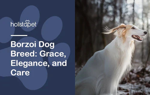 Complete details about Borzoi Dog Breed 