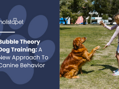 Bubble Theory Dog Training: A New Approach To Canine Behavior
