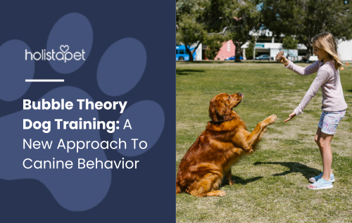 Feature blog image by Holistapet for Bubble Theory Dog Training: A New Approach to Canine Behavior.   a young girl training a Golden Retriever in a park, with the dog sitting up and reaching out a paw, responding to her command.