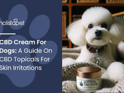 CBD Cream For Dogs: A Guide On CBD Topicals For Skin Irritations